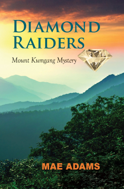 book cover for Diamond Raiders