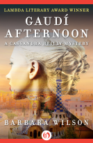 book cover for Gaudí Afternoon