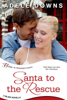 book cover for Santa to the Rescue