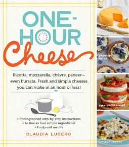 book cover for One-Hour Cheese