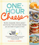 book cover for One-Hour Cheese