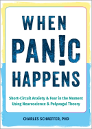book cover for When Panic Happens