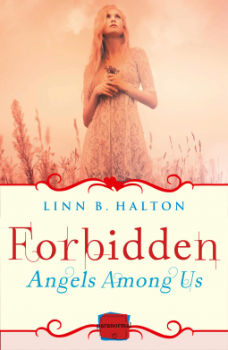 book cover for Forbidden