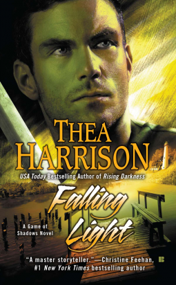book cover for Falling Light