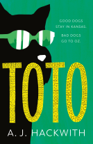 book cover for Toto