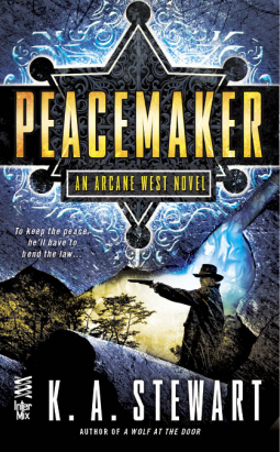 book cover for Peacemaker