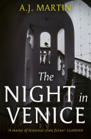 book cover for The Night in Venice
