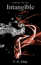 book cover for Intangible