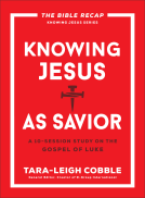 book cover for Knowing Jesus as Savior