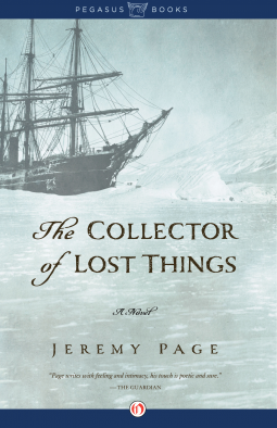 book cover for The Collector of Lost Things