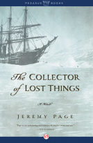 book cover for The Collector of Lost Things