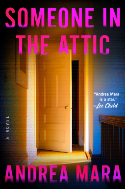book cover for Someone in the Attic