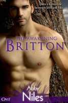 book cover for The Awakening: Britton