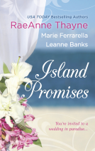 book cover for Island Promises