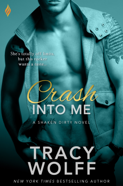 book cover for Crash into Me