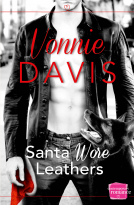 book cover for Santa Wore Leathers