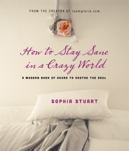 book cover for How to Stay Sane in a Crazy World