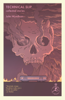 book cover for Technical Slip