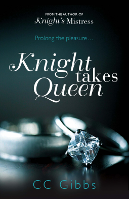 book cover for Knight Takes Queen