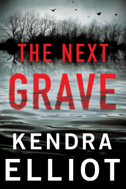 book cover for The Next Grave