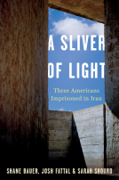book cover for A Sliver of Light
