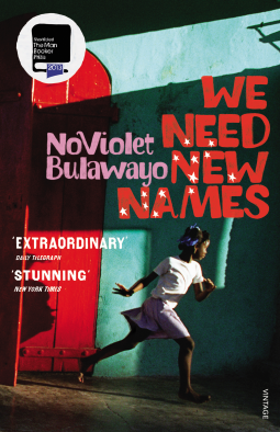 book cover for We Need New Names