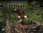Cover Image: Inside a Bald Eagle’s Nest