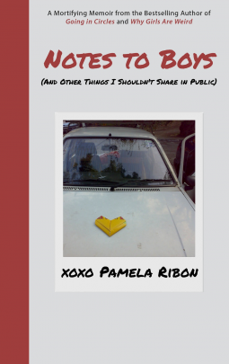 book cover for Notes to Boys