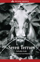 book cover for Seven Terrors