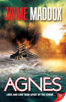 book cover for Agnes