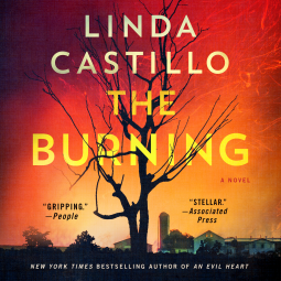 book cover for The Burning
