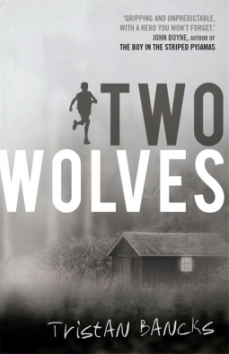 book cover for Two Wolves