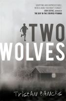 book cover for Two Wolves