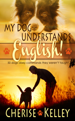 book cover for My Dog Understands English! 50 dogs obey commands they weren't taught