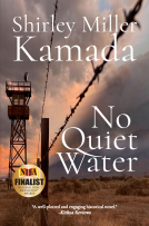 book cover for No Quiet Water