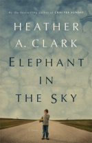 book cover for Elephant in the Sky
