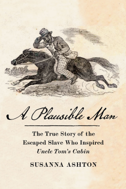 book cover for A Plausible Man