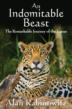 book cover for An Indomitable Beast