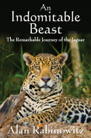 book cover for An Indomitable Beast