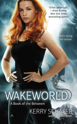 book cover for Wakeworld
