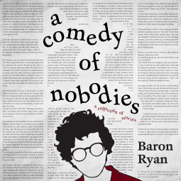 book cover for A Comedy of Nobodies
