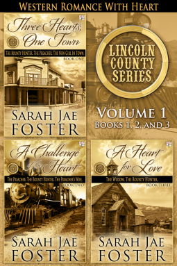 book cover for Lincoln County Series