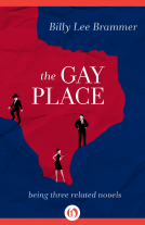 book cover for The Gay Place