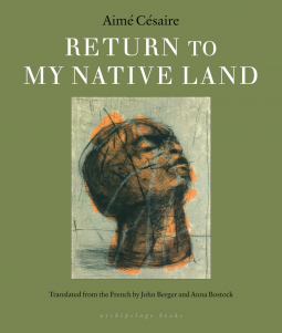 book cover for Return to my Native Land