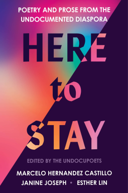 book cover for Here to Stay