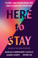 book cover for Here to Stay