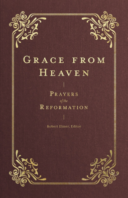 book cover for Grace from Heaven