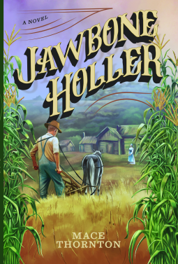 book cover for Jawbone Holler