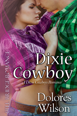 book cover for Dixie Cowboy