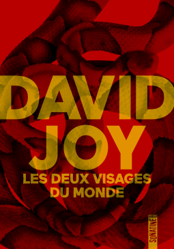 Couverture du livre pour Les Deux visages du monde